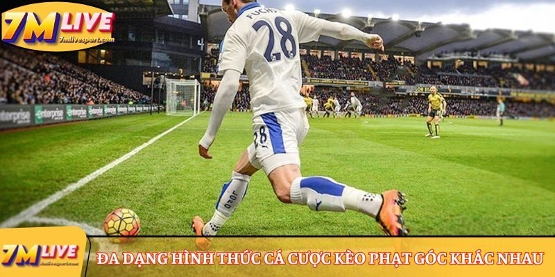 Kèo Góc siêu hấp dẫn, chinh phục 99% người chơi cá cược 8 Đa dạng hình thức cá cược kèo phạt góc khác nhau