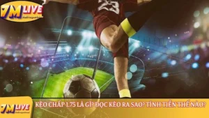 Kèo chấp 1.75 là gì? Đọc kèo ra sao? Tính tiền thế nào? 7 kèo chấp 1.75 là gì