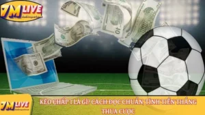 Kèo chấp 1 là gì? Cách đọc chuẩn, tính tiền thắng thua cược 2 kèo chấp 1