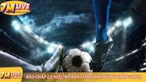 Kèo chấp 2.5: Hiểu rõ bản chất, tính cược thắng thua 2 Kèo chấp 2.5