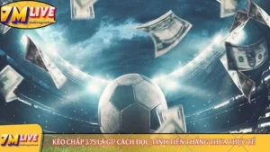 Kèo chấp 3.75 là gì? Cách đọc, tính tiền thắng thua thực tế 10 Kèo chấp 3.75 là gì