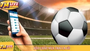 Kèo chấp nửa trái là gì? Đọc kèo và tính cược thắng thua 4 Kèo chấp nửa trái