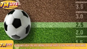 Giải mã kèo tài xỉu bóng đá dễ hiểu cùng người chơi mới 6 Kèo tài xỉu