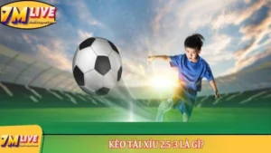 Kèo Tài Xỉu 2.5-3 là gì? Những thông tin cơ bản nhất về kèo 5 kèo tài xỉu 2.5-3 là gì