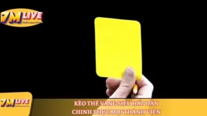 Kèo thẻ vàng siêu hấp dẫn, chinh phục mọi thành viên 7 Kèo thẻ vàng