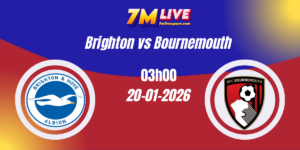 Nhận định Ngoại hạng Anh Brighton vs Bournemouth 20/01/2026 3 Nhận định Ngoại hạng Anh Brighton vs Bournemouth 20/01/2026