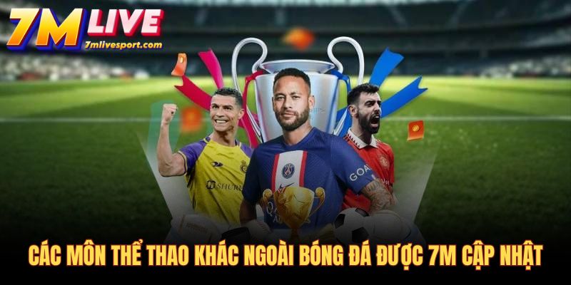 7M - Tỷ số trực tuyến 7MCN, Kết quả bóng đá mùa giải 2026/27 9 7M cung cấp livescore đa dạng các môn thể thao ngoài bóng đá